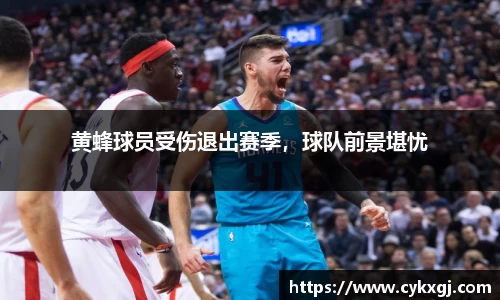 黄蜂球员受伤退出赛季，球队前景堪忧